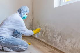 Best Real Estate Mold Inspection  in Salado, TX